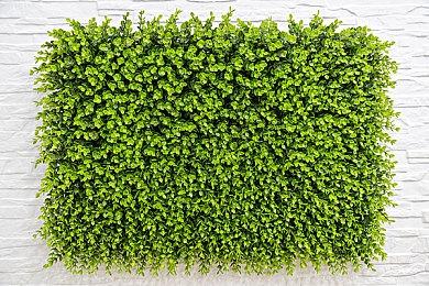 如龙工作室总监：2024年还将有一个重大宣布